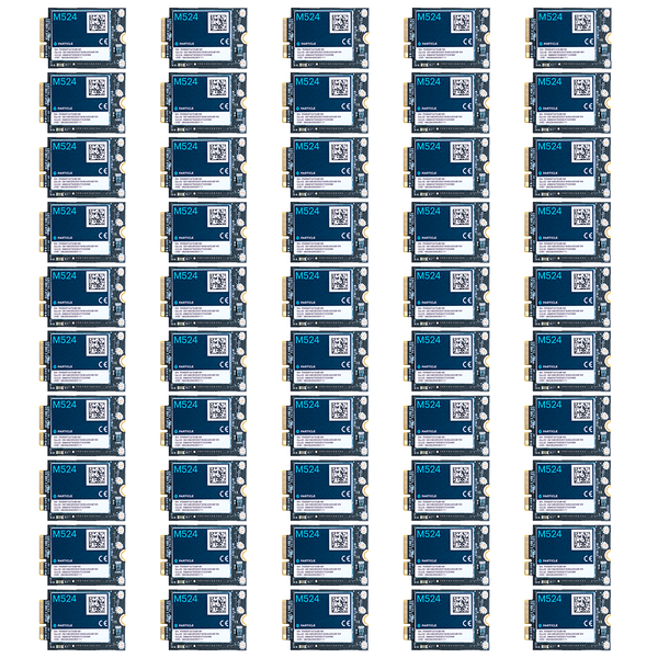 M-Series LTE CAT1/3G/2G (Europe, EtherSIM), Tray (M524) [x50]